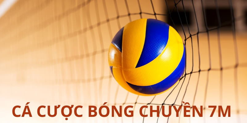 Cá Cược Bóng Chuyền 7m