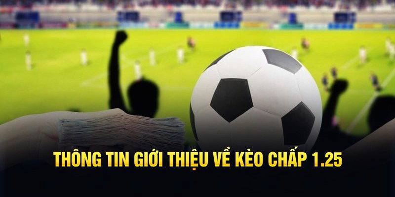 Kèo Chấp 1.25 Bongvip